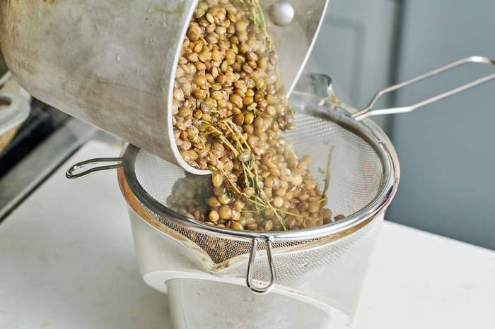 How to cook french style lentils